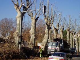 photo coins arrondis